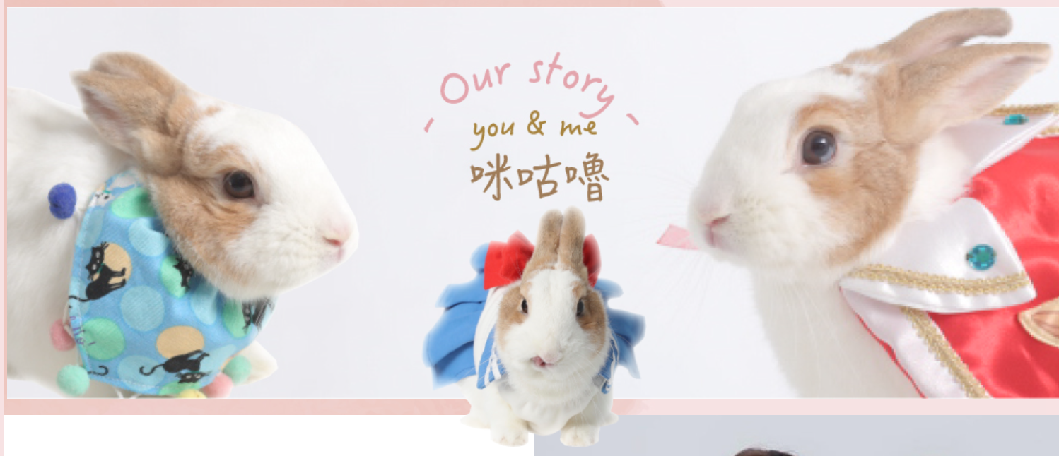 咪咕嚕公益嘉年華 — 桃園藝文廣場